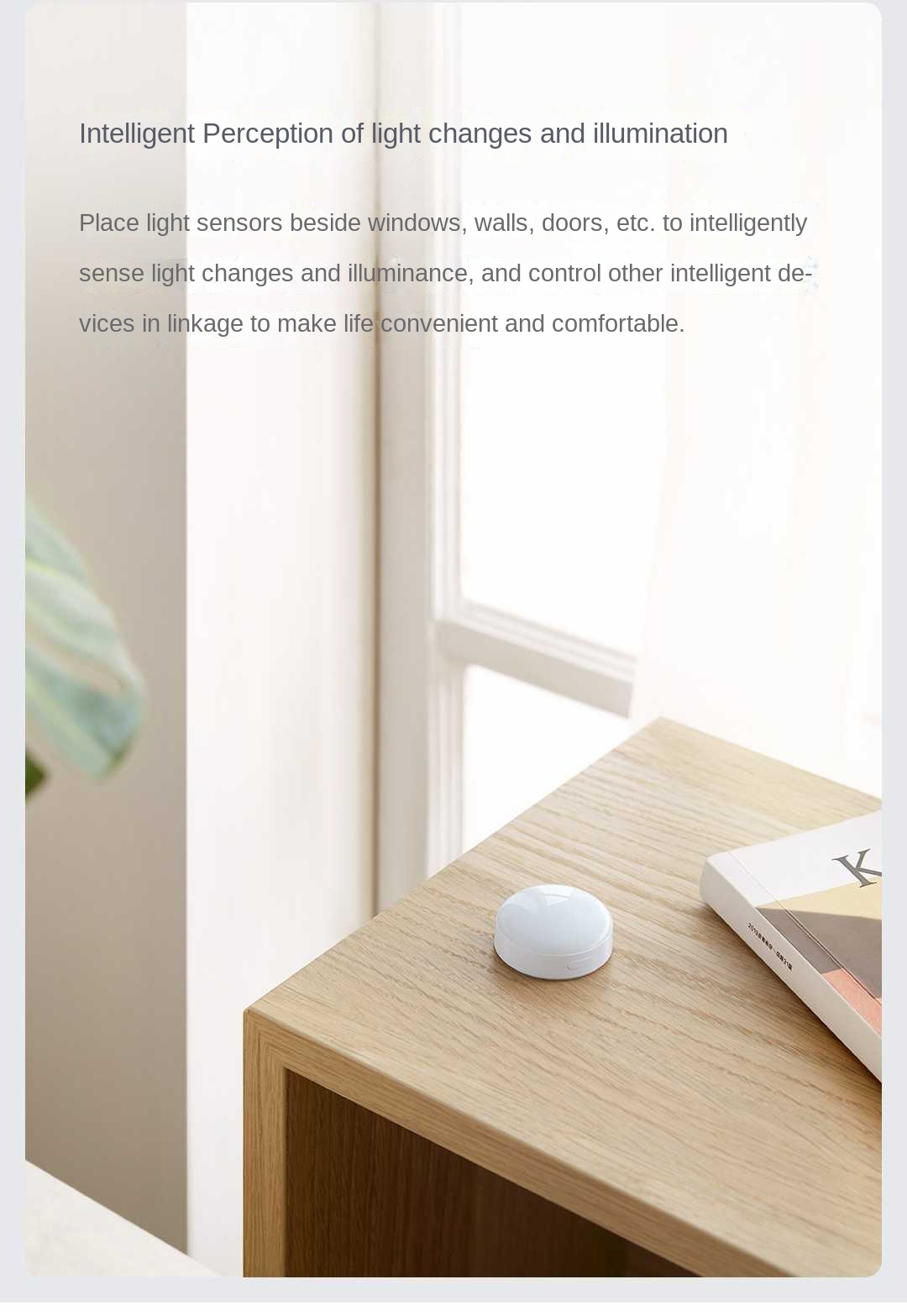 Датчик освещенности Aqara Ligh – обзор и цена Smart Garden Xiaomi