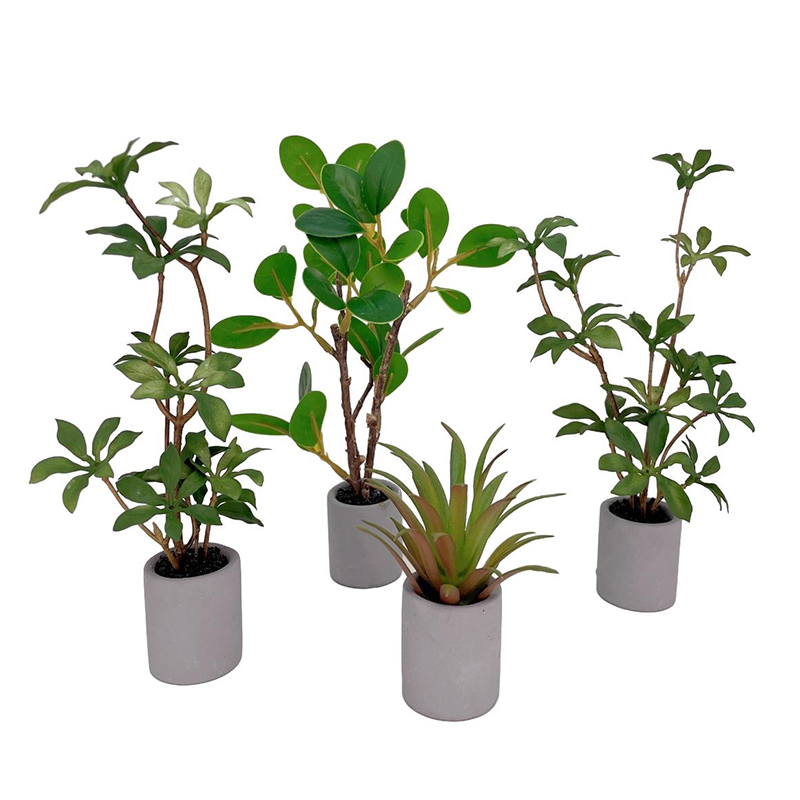 1:6 кукольный домик, миниатюрн – обзор и цена Smart Garden Mini