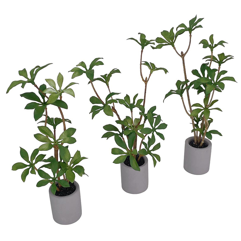 1:6 кукольный домик, миниатюрн – обзор и цена Smart Garden Mini