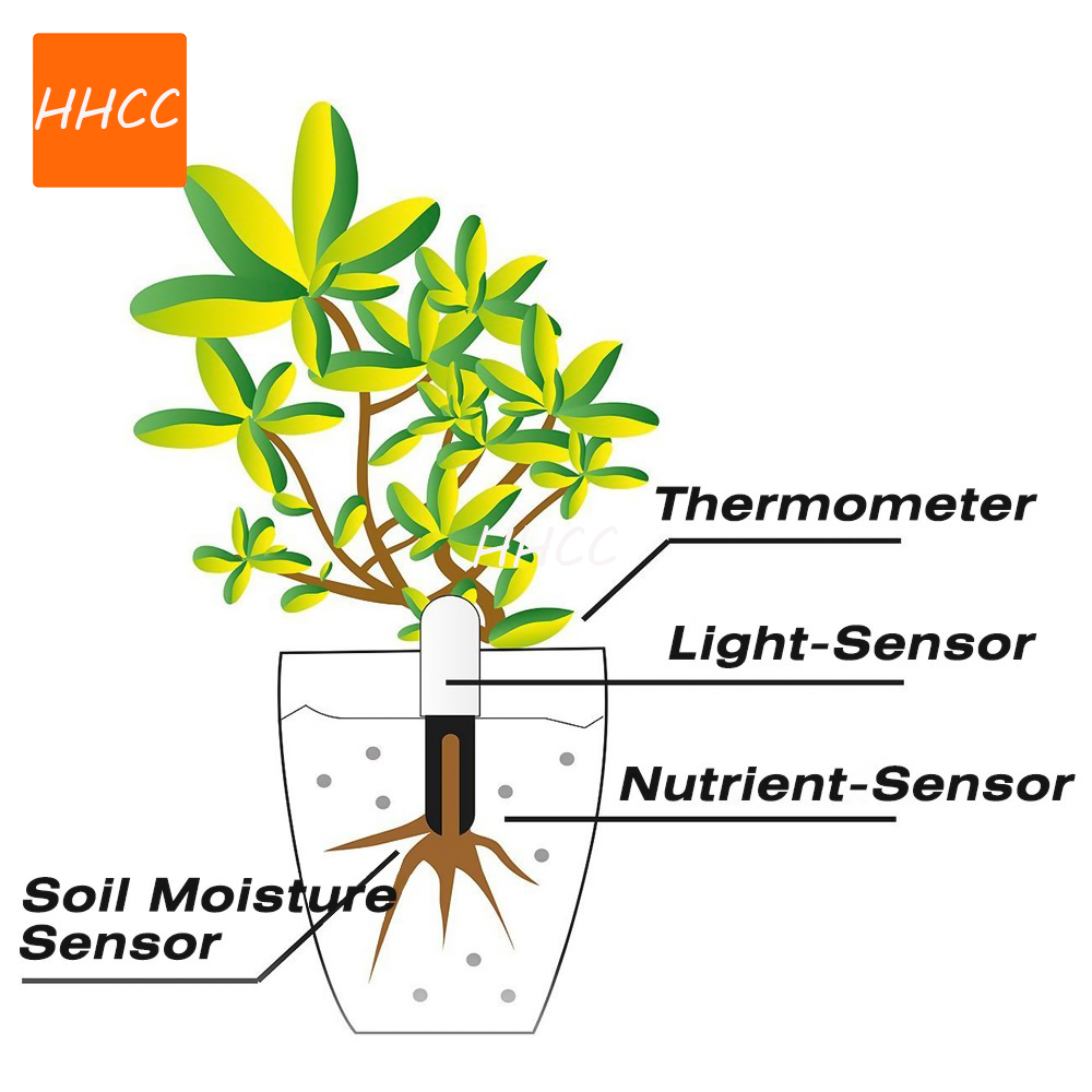 Умный монитор для растений HHC – обзор и цена Smart Garden Xiaomi