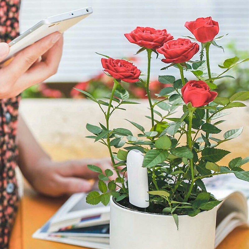 HHCC Умный монитор для ухода з – обзор и цена Smart Garden Xiaomi